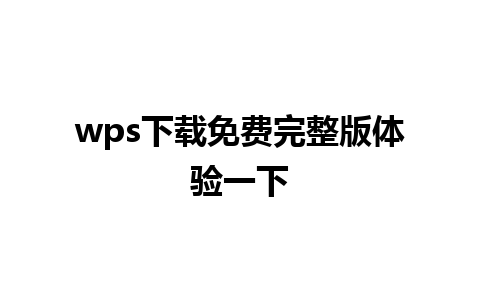 wps下载免费完整版体验一下 