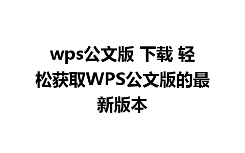 wps公文版 下载 轻松获取WPS公文版的最新版本