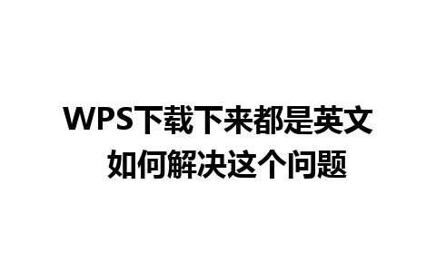 WPS下载下来都是英文  如何解决这个问题