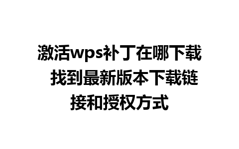 激活wps补丁在哪下载  找到最新版本下载链接和授权方式