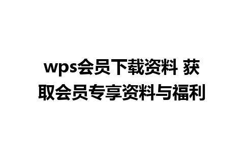 wps会员下载资料 获取会员专享资料与福利