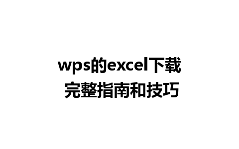 wps的excel下载 完整指南和技巧