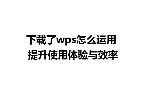 下载了wps怎么运用 提升使用体验与效率