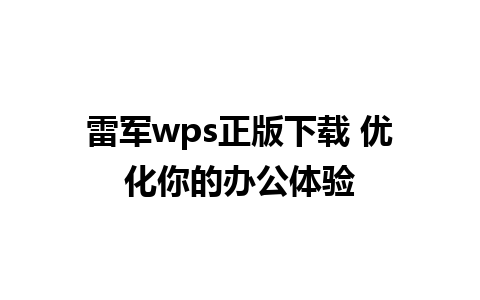 雷军wps正版下载 优化你的办公体验