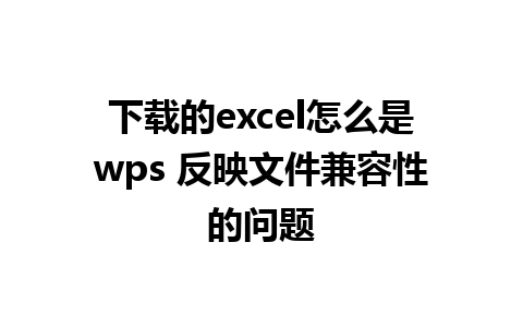 下载的excel怎么是wps 反映文件兼容性的问题