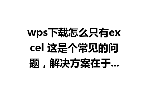 wps下载怎么只有excel 这是个常见的问题，解决方案在于...