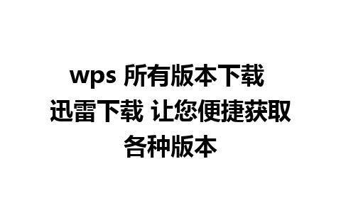 wps 所有版本下载 迅雷下载 让您便捷获取各种版本