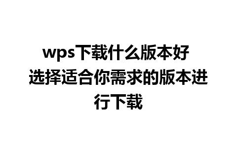 wps下载什么版本好 选择适合你需求的版本进行下载