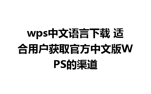 wps中文语言下载 适合用户获取官方中文版WPS的渠道