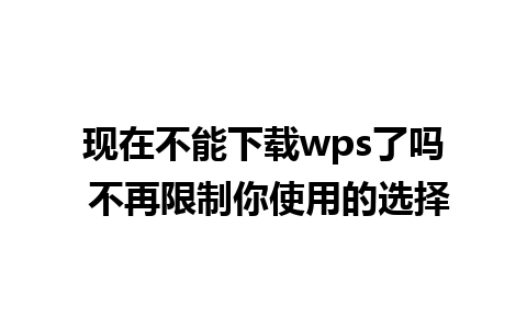 现在不能下载wps了吗 不再限制你使用的选择