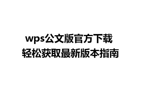 wps公文版官方下载 轻松获取最新版本指南