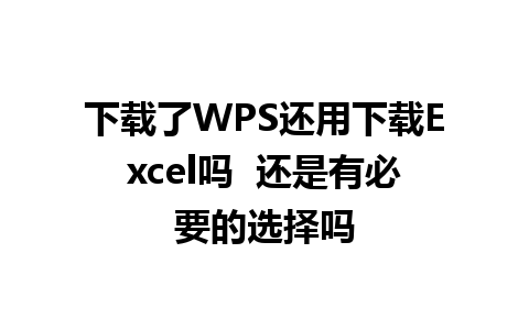 下载了WPS还用下载Excel吗  还是有必要的选择吗