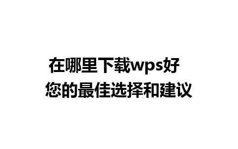 在哪里下载wps好  您的最佳选择和建议