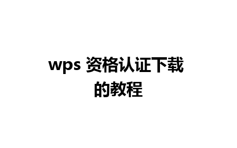 wps 资格认证下载 的教程