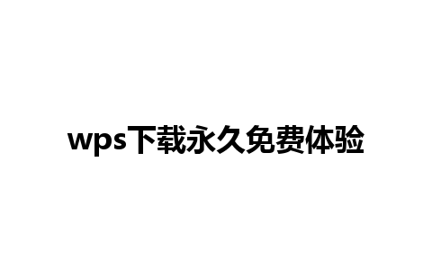 wps下载永久免费体验