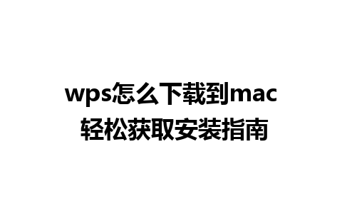 wps怎么下载到mac 轻松获取安装指南