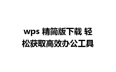 wps 精简版下载 轻松获取高效办公工具