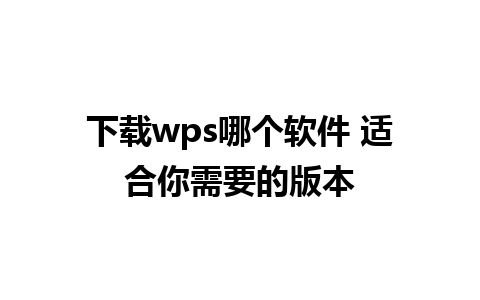 下载wps哪个软件 适合你需要的版本