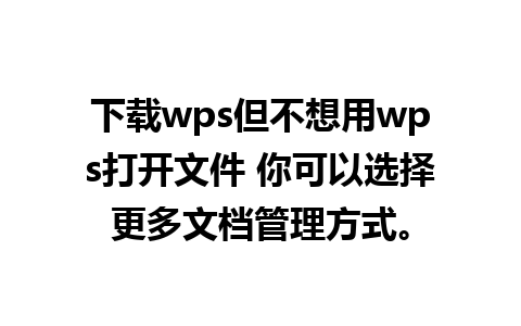 下载wps但不想用wps打开文件 你可以选择更多文档管理方式。