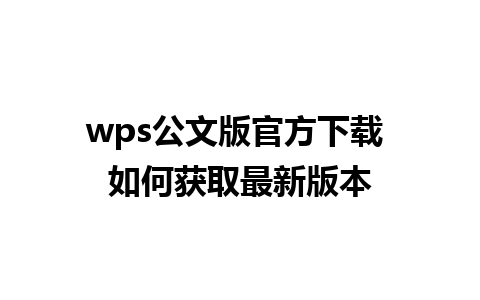 wps公文版官方下载 如何获取最新版本