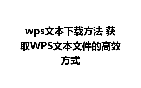 wps文本下载方法 获取WPS文本文件的高效方式