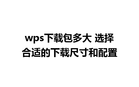 wps下载包多大 选择合适的下载尺寸和配置