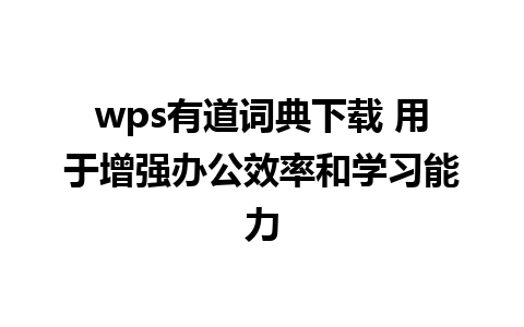 wps有道词典下载 用于增强办公效率和学习能力