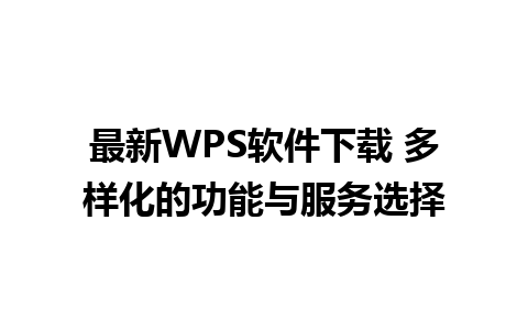 最新WPS软件下载 多样化的功能与服务选择