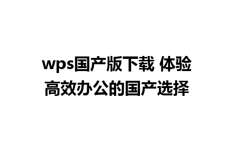 wps国产版下载 体验高效办公的国产选择