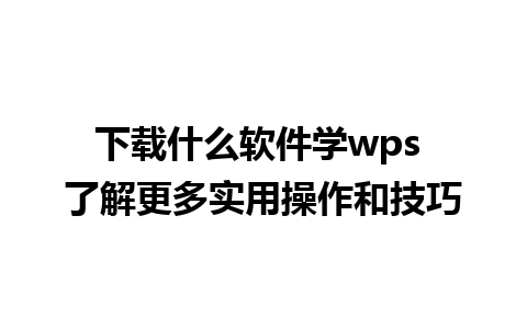 下载什么软件学wps 了解更多实用操作和技巧