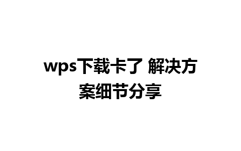 wps下载卡了 解决方案细节分享