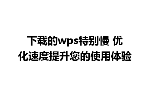 下载的wps特别慢 优化速度提升您的使用体验