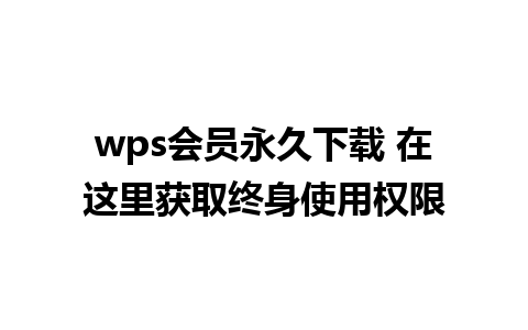 wps会员永久下载 在这里获取终身使用权限