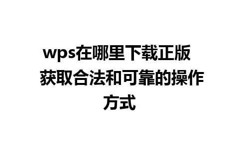 wps在哪里下载正版  获取合法和可靠的操作方式