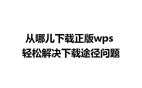 从哪儿下载正版wps 轻松解决下载途径问题