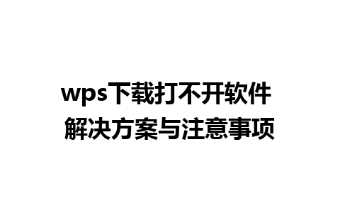 wps下载打不开软件 解决方案与注意事项