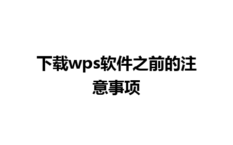 下载wps软件之前的注意事项