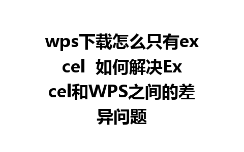 wps下载怎么只有excel  如何解决Excel和WPS之间的差异问题