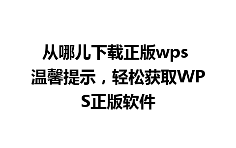 从哪儿下载正版wps 温馨提示，轻松获取WPS正版软件