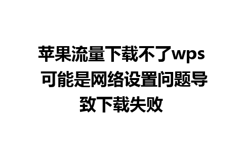 苹果流量下载不了wps 可能是网络设置问题导致下载失败