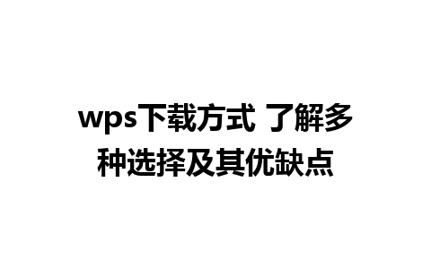 wps下载方式 了解多种选择及其优缺点