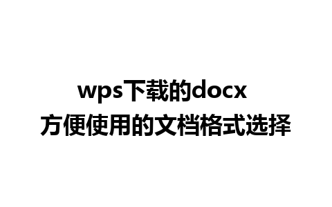 wps下载的docx 方便使用的文档格式选择