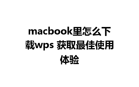 macbook里怎么下载wps 获取最佳使用体验