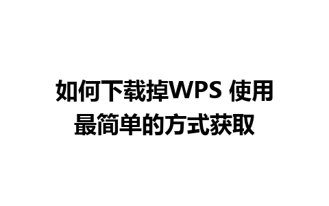 如何下载掉WPS 使用最简单的方式获取