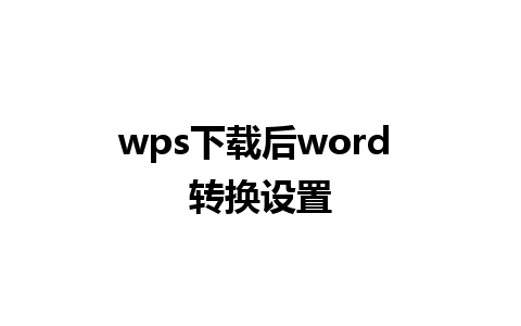 wps下载后word 转换设置