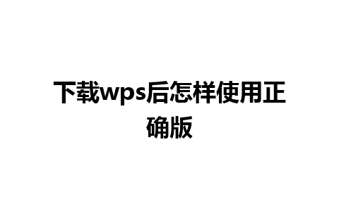 下载wps后怎样使用正确版