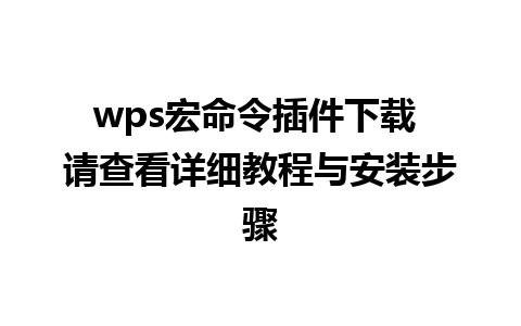 wps宏命令插件下载 请查看详细教程与安装步骤