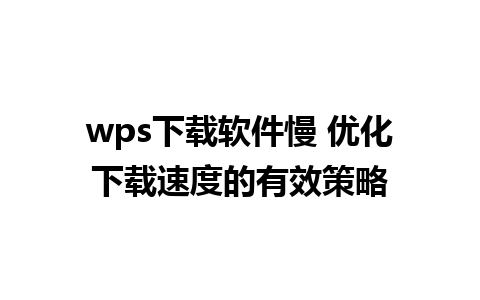 wps下载软件慢 优化下载速度的有效策略