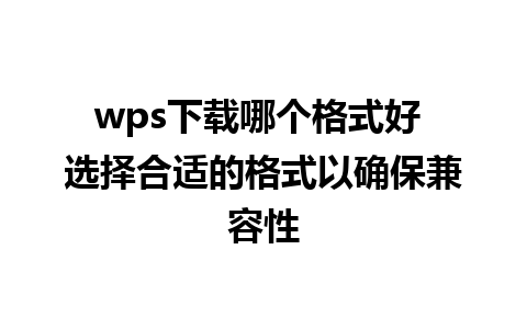 wps下载哪个格式好 选择合适的格式以确保兼容性