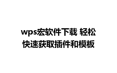 wps宏软件下载 轻松快速获取插件和模板